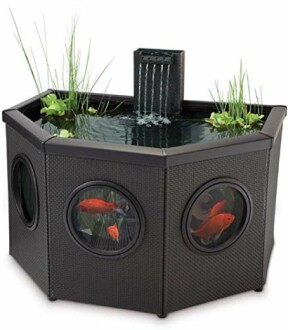 Pennington Aquagarden Affinity Half-Moon Pond Review: Complete Water Feature Pool with Inpond 5 in 1 300 Pond & Water Pump